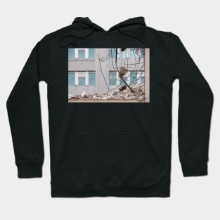 Demolition Hoodie